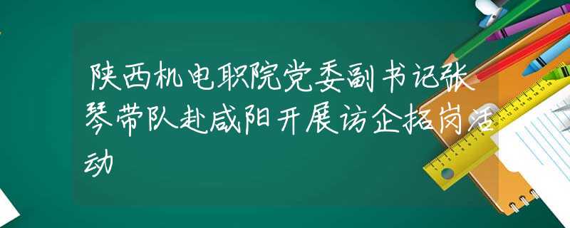 陜西機(jī)電職院黨委副書記張琴帶隊赴咸陽開展訪企拓崗活動