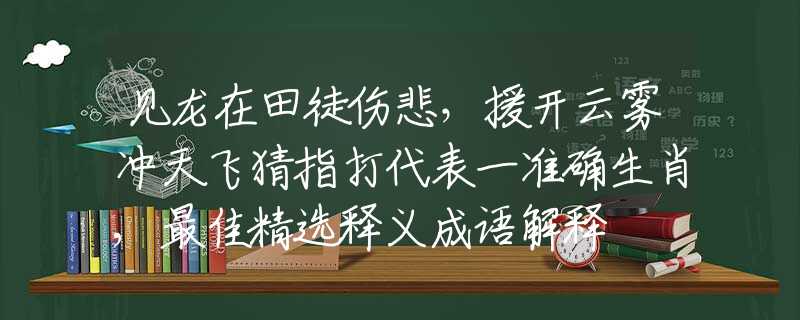 見龍?jiān)谔锿絺_云霧沖天飛猜指打代表一準(zhǔn)確生肖,最佳精選釋義成語(yǔ)解釋