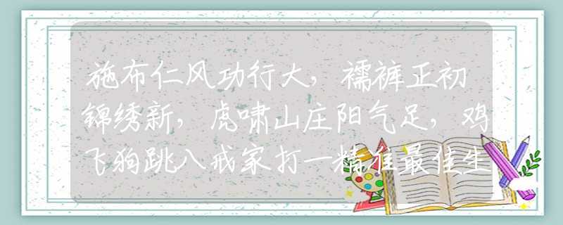 施布仁風(fēng)功行大，襦褲正初錦繡新，虎嘯山莊陽氣足，雞飛狗跳八戒家打一精準(zhǔn)最佳生肖,釋義成語精選解答