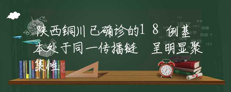 陜西銅川已確診的18例基本處于同一傳播鏈 呈明顯聚集性